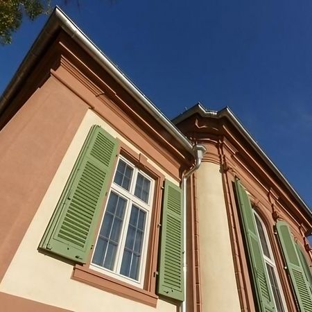 Restaurierung in Wiesbaden und Mainz